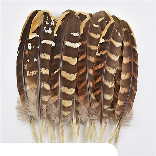 Gro?handel Natur Pfau Fasan Federn Kleine H¨¹hnerg?nse Feder Fliegenbinden Materialien Bastelzubeh?r Dekoration-Gr??e 12-16CM,20 St¨¹ck von WEDSA