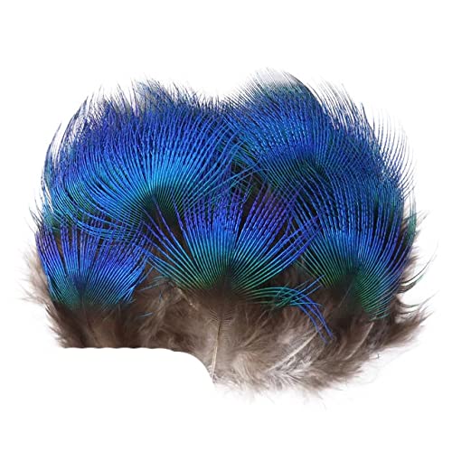 Gro?handel Naturfasan Pfauenfedern f¨¹r Handwerk Federn Dekoration DIY Schmuck Handwerk-05,20Pcs von WEDSA