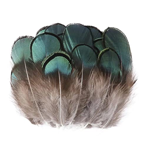 Gro?handel Naturfasan Pfauenfedern f¨¹r Handwerk Federn Dekoration DIY Schmuck Handwerk-06,100Pcs von WEDSA