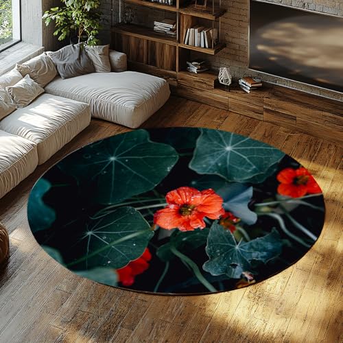 Kleine runde College Wohnheim Teppiche botanische Blätter rote Blume Druck Rutschfester Eingangsteppich maschinenwaschbarer runder Teppich für Wohnzimmer Schlafzimmer Kinderzimmer weiche 150cm von WEECHAINGE