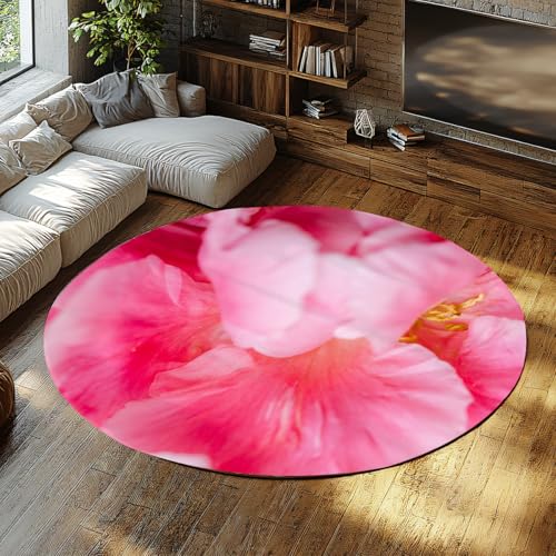 Rosa Blume Runde Teppiche für Küche Maschinenwaschbar Weicher niedriger Flor Rutschfester Innenteppich Wohnzimmer Schlafzimmer Kinderzimmer Eingangsbereich Frühling Blumen Kreis Teppich 135cm Rosa Blume Runde Teppiche für Küche Maschinenwaschbar Weicher niedriger Flor Rutschfester Innenteppich Wohnzimmer Schlafzimmer Kinderzimmer Eingangsbereich Frühling Blumen Kreis Teppich 135cm von WEECHAINGE