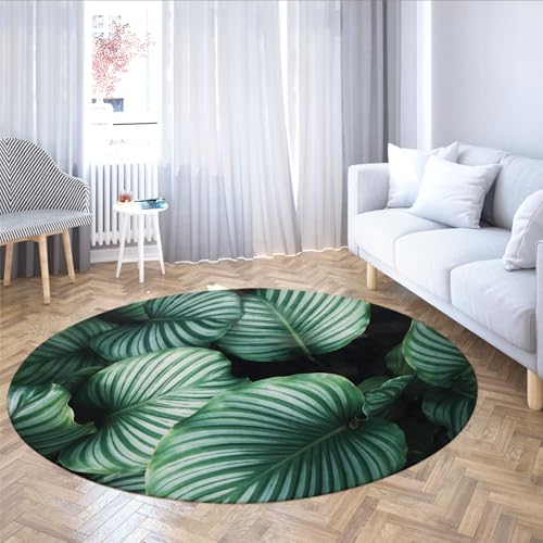 WEECHAINGE Green Leaf Botanical Round Area Teppiche für Wohnzimmer Maschinenwaschbarer niedrigfloriger Kreisteppich Rutschfester moderner Teppich für Schlafzimmer Esszimmer 120cm von WEECHAINGE