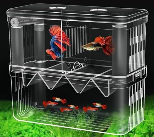 WEFHEF Isolierbox für Aquarien WEFHEF Isolierbox für Aquarien von WEFHEF