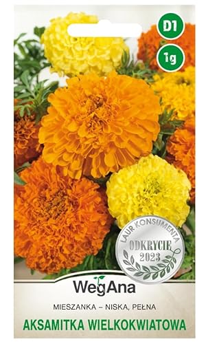 WegAna Großblumige Studentenblume Mischung Samen 1g - Einjährig 35 cm Anspruchslos Niedrige Pflanzen - Gartenpflanzen Balkonpflanzen Bienenweide Blumen Saatgut von WEGANA