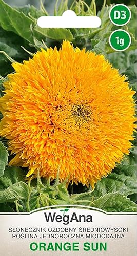 WegAna Orange Sun Sonnenblumen Samen Mittel-hoch 1g, Einjährig Pflanzen Sommerblumen, Gartenpflanzen Balkonpflanzen, Blumen Saatgut, Blumensamen, Bienenmagnet von WEGANA