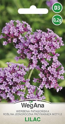 WegAna Patagonisches Eisenkraut Lilac 0,2g, Sommerblumen, Gartenpflanzen Balkonpflanzen, Blumen Saatgut, Blumensamen, Schmetterlingsmagnet von WEGANA