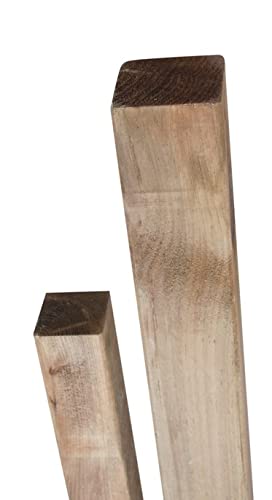 WEIDENPROFI Holzpfosten, Zaunpfosten aus Kiefernholz gebeizt, eckig, ungespitzt, Größe (LxBxH): 7 x 7 x 120 cm von WEIDENPROFI