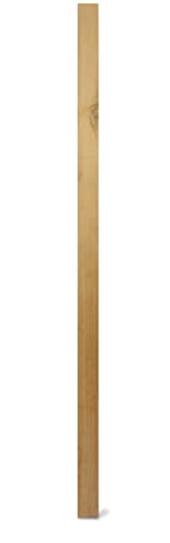 WEIDENPROFI Holzpfosten, Zaunpfosten aus Lärchenholz, vierkant, unbehandelt, ungespitzt - Größe (LxBxH): 9 x 9 x 180 cm von WEIDENPROFI