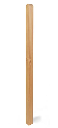 WEIDENPROFI Holzpfosten aus Lärchenholz, vierkant, kopfgerundet, Abmessung: (LxBxH) 9 x 9 x 190 cm von WEIDENPROFI