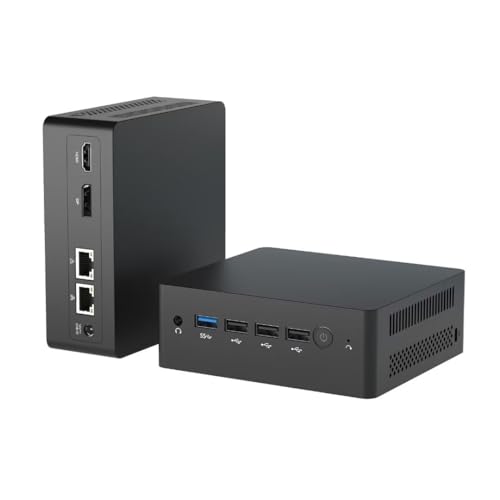 WEIDIAN Mini PC N100 Dual LAN DDR5 12th Alder Lake (bis zu 3,40 GHz), Mini PC Windows 11 Pro Mini Computer 8GB RAM LPDDR5 256GB NVMe SSD Mini Desktop PC Dual-Screen Display HD DP WiFi5 BT 4.0 USB 3.0 von WEIDIAN