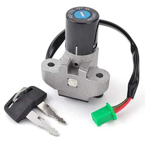 Start Key Lock Schalter Für Suzuki GW GSXR GSX-R 250/GW250 Für Inazuma GSXR250 2014 2015 2016 2017 Motorrad Zündschloss Sperrschlüssel Motorrad Zündschloss von WEIFANAA