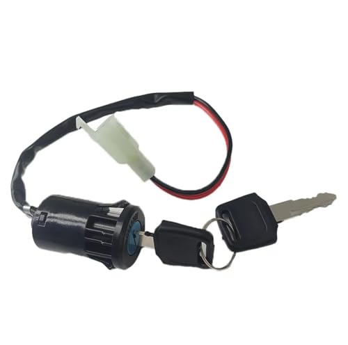 Start Key Lock Schalter Zündschlüsselschalter Für Mopeds 2-adrig 28 Mm Loch ATV Dirtbike Zubehör Elektrisches Motorrad Go-Kart Ein-/Aus-Werkzeug Langlebig Motorrad Zündschloss(1 Piece) von WEIFANAA