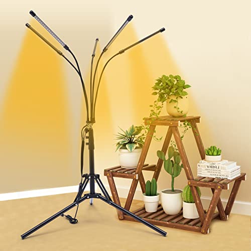 WEIGR Pflanzenlampe Led Vollspektrum, Grow Light Pflanzenlampen 360°-Drehung mit Ständer 5 Kopf 4/8/12H,USB-Schnittstelle, für Gemüse Topf Sämlinge Wachsende Blühende von WEIGR