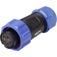 SP2110 / s 5B ii Rundstecker Buchse, gerade Serie (Rundsteckverbinder): SP21 1 St. - Weipu von WEIPU