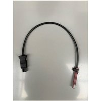 Weishaupt - Flammenfühler QRB1B 14201312142 für W10 und WL20 bis 2002 von WEISHAUPT