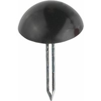 Polsternägel ø 9,0 x 12,5 mm Polsternägel Polsternägel ø 9,0 x 12,5 mm Polsternägel von WEITERE