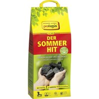 Profagus Buchen Grill-Holzkohle der Sommer Hit 3 kg Anzünder & Holzkohle Profagus Buchen Grill-Holzkohle der Sommer Hit 3 kg Anzünder & Holzkohle von WEITERE