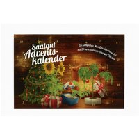 Saatgut Adventskalender Kamin mit komplettem Mini Gewächshaus Set Adventskalender Saatgut Adventskalender Kamin mit komplettem Mini Gewächshaus Set Adventskalender von WEITERE