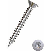 Universalschrauben 2.5 x 12 mm tx 10 Senkkopf - 250 Stk. Holzschrauben - Connex Universalschrauben 2.5 x 12 mm tx 10 Senkkopf - 250 Stk. Holzschrauben - Connex von Connex