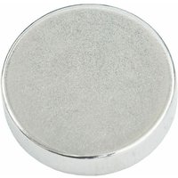 Weitere - Magnet ø 20 x 5 mm, N35, 2 Stück Schrauben & Dübel von WEITERE