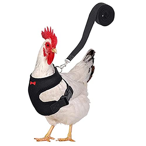WEITING Geschirr und Ente, Geschirr und Weste Huhn verstellbar für Hühner – atmungsaktives Geschirr, bequem, Ausbildung von Huhn, Haustierweste, Huhn, für kleine Tiere WEITING Geschirr und Ente, Geschirr und Weste Huhn verstellbar für Hühner – atmungsaktives Geschirr, bequem, Ausbildung von Huhn, Haustierweste, Huhn, für kleine Tiere von WEITING