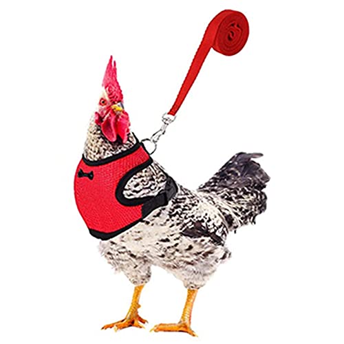 WEITING Hühnergeschirr mit Entenschnabel – Geschirr für Huhn – bequeme Weste rot mit lustigem Tiermotiv für kleine Tiere WEITING Hühnergeschirr mit Entenschnabel – Geschirr für Huhn – bequeme Weste rot mit lustigem Tiermotiv für kleine Tiere von WEITING