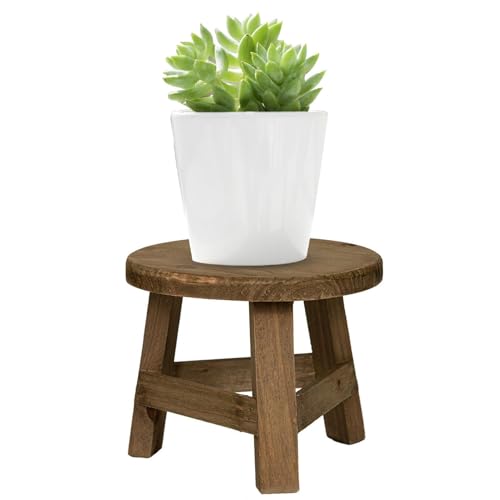 WEITING Pflanzenständer für drinnen, Pflanzenhaltertisch, Holz-Zimmerpflanzen-Blumentopf-Hocker, Runder Ausstellungstisch für Zimmerpflanzen für Wohnzimmer, Küche, Balkon, Arbeitszimmer, Eingang WEITING Pflanzenständer für drinnen, Pflanzenhaltertisch, Holz-Zimmerpflanzen-Blumentopf-Hocker, Runder Ausstellungstisch für Zimmerpflanzen für Wohnzimmer, Küche, Balkon, Arbeitszimmer, Eingang von WEITING