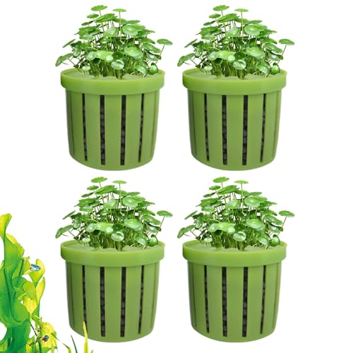 weiting Aquarien Pflanzenhalter | Pflanzenbecher für Aquarien | 4 Stück Hydrokulturhalter für, Wasserdéko für Wohnung Hotel Restaurant Geschäfte weiting Aquarien Pflanzenhalter | Pflanzenbecher für Aquarien | 4 Stück Hydrokulturhalter für, Wasserdéko für Wohnung Hotel Restaurant Geschäfte von WEITING