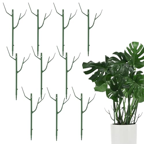 weiting Indoor Pflanzenstütze,Kletterpflanzen Stäbe - 10 Stück Abnehmbare Stapelbare Rankgitter Nachbildung,Zierde für Haus Garten Terrasse Rankblume von WEITING
