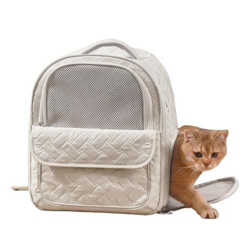 weiting Katzentransporttasche - Haustier Katzen Transporttasche | Zusammenklappbar Tragbar Tasche Rucksack Für Ausflüge Reisen Auto Motorrad Indoor Camping Outdoor Aktivitäten weiting Katzentransporttasche - Haustier Katzen Transporttasche | Zusammenklappbar Tragbar Tasche Rucksack Für Ausflüge Reisen Auto Motorrad Indoor Camping Outdoor Aktivitäten von WEITING