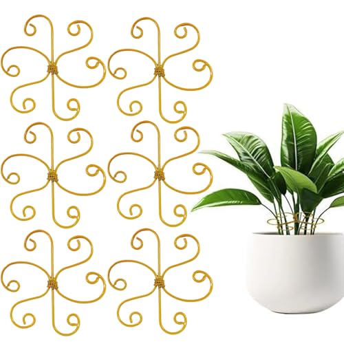 weiting Pflanzenstütze - Wiederverwendbarer Monstera Stützstab | Wiederverwendbarer Stabilisator für Monstera Bonsai Garten, 6 Stück Pflanzenzubehör von WEITING