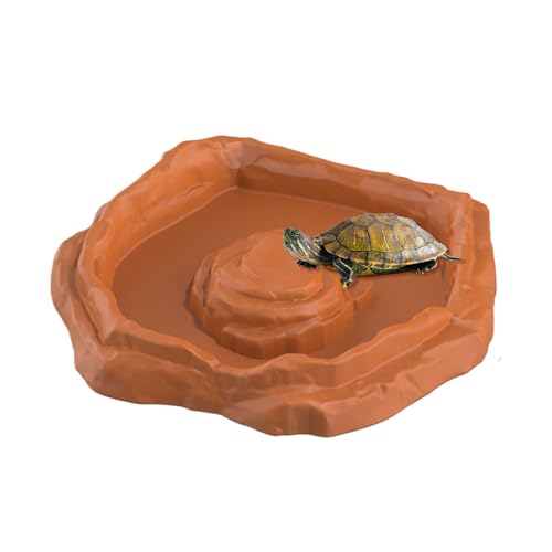 weiting Schildkröten Wasserschale - Reptilien Futterbecken | Dekorativer Schildkröten Napf mit Rampe für Wasser und Futter, für Terrarium, Landschildkröte, Schlange, Bartagame, Gecko, Becken, Aquarium von WEITING