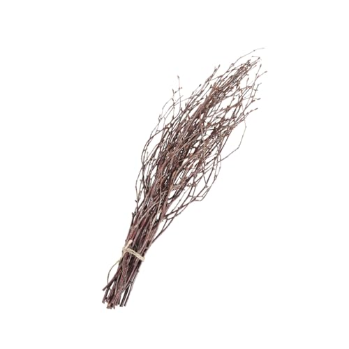 WEKADRIN 10 Stück Teiliges Naturgetreue Birkenzweige Trockenäste Holzstäbe Wohnraumdeko DIY Bastelzweige für Vase Sideboard Küchenornament von WEKADRIN