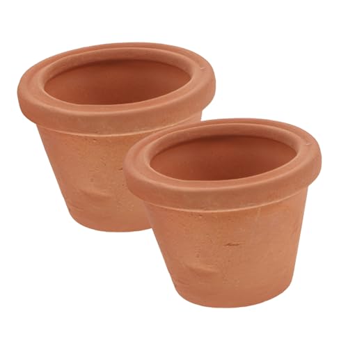WEKADRIN 2 Stück Miniatur Terrakotta Blumentöpfe Kleine Rote Töpfe für Sukkulenten Praktisch und Vintage für Schreibtisch und Dekoration von WEKADRIN