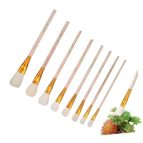 WEKADRIN 3 Sätze Teiliges Bestäubungsset Für Pflanzen Obst Und Gemüse Werkzeug Zur Handbestäubung Von Blumen Und Sukkulenten Leicht Und Tragbar Für Pflanzenliebhaber 8 Stück * 3 von WEKADRIN