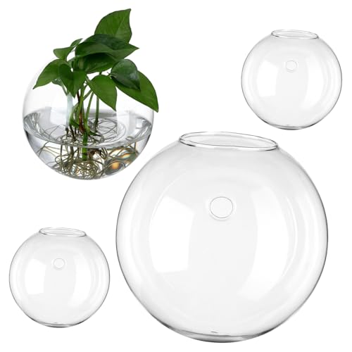 WEKADRIN 4 Stück Teiliges Wandvasen aus Transparentem Glas Runde Wandpflanzgefäße für Hydroponik und Pflanzenvermehrung Dekorative Glas Terrarienhalter für Wohnzimmer und Büro von WEKADRIN