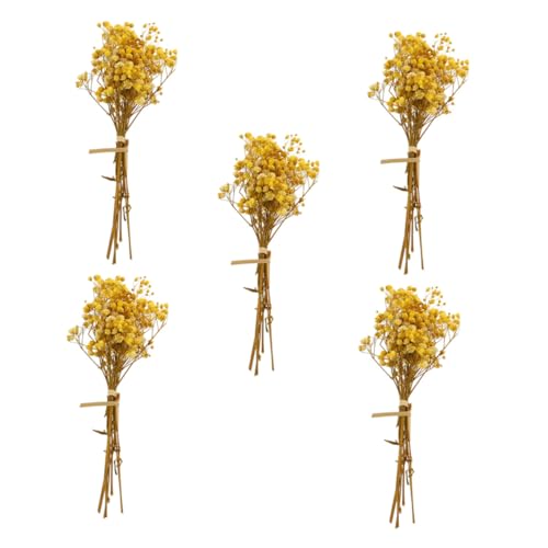 WEKADRIN 5 Stück Teiliges Getrocknetes Babysbreath blumenbündel Langlebiger Schleierkraut strauß Natürliche Trockenblumen für Wohnraum Hochzeit Party Dekoration Geschenk WEKADRIN 5 Stück Teiliges Getrocknetes Babysbreath blumenbündel Langlebiger Schleierkraut strauß Natürliche Trockenblumen für Wohnraum Hochzeit Party Dekoration Geschenk von WEKADRIN