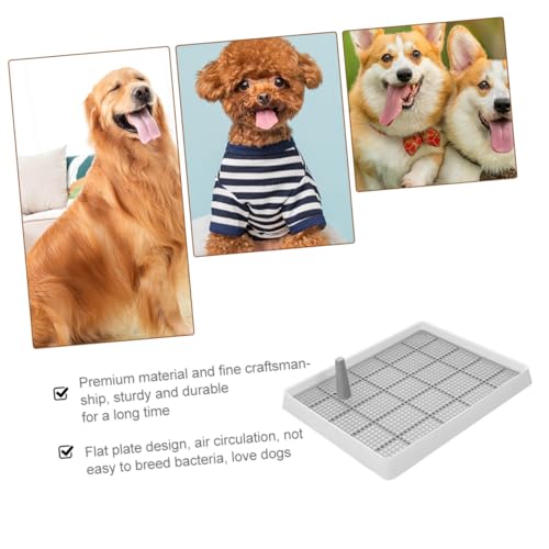 WEKADRIN Dickes Wasserdichtes Kunststoff hundetoilette tablett mit Hohem Spritzschutzsicher für Kleine Hunde für Drinnen Einfache Reinigung und Hygienisches Hundetraining WEKADRIN Dickes Wasserdichtes Kunststoff hundetoilette tablett mit Hohem Spritzschutzsicher für Kleine Hunde für Drinnen Einfache Reinigung und Hygienisches Hundetraining von WEKADRIN