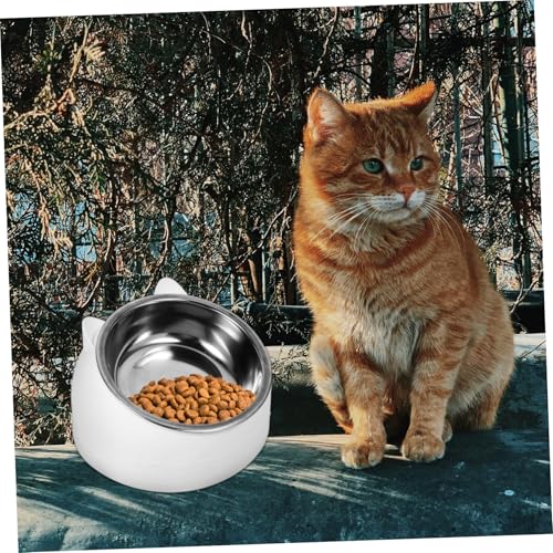 WEKADRIN Edelstahl Katzennapf mit Neigung Erhöhter Futternapf gegen Verschütten Schräger Napf zur Reduzierung von Erbrechen rutschfest für Kleine Katzen Weiß von WEKADRIN