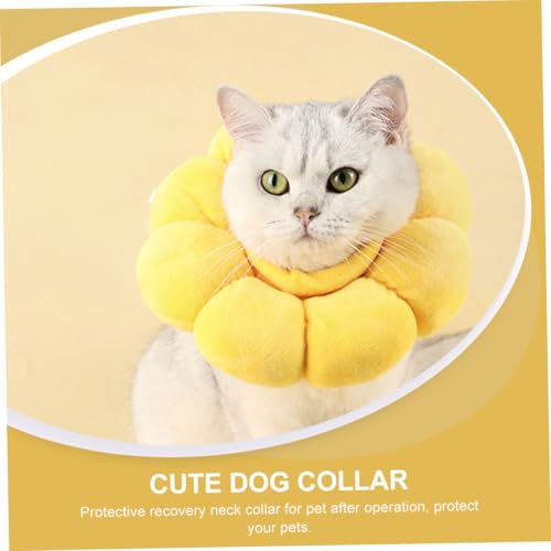 WEKADRIN Elisabethanischer Katzen operationshalskragen S Schutzkragen für Katzen und Hunde Kreativer Wundschutz gegen Lecken Kratzen und Beißen Langlebiger und Einfacher Aufsatz für WEKADRIN Elisabethanischer Katzen operationshalskragen S Schutzkragen für Katzen und Hunde Kreativer Wundschutz gegen Lecken Kratzen und Beißen Langlebiger und Einfacher Aufsatz für von WEKADRIN