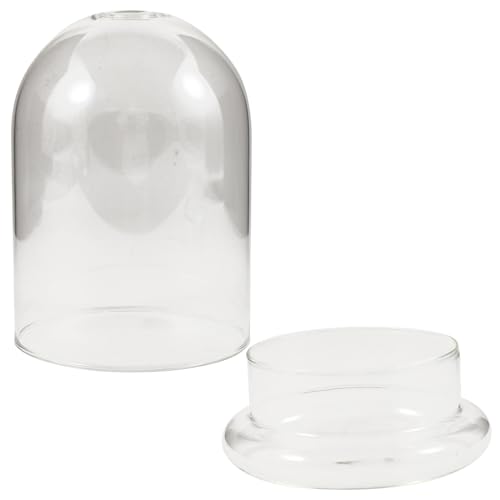 WEKADRIN Glas Terrarium Vase mit Glockenform Kleines Micro Landschafts Ökoflaschenpflanzgefäß aus Klarem Glas Dekorative Tischdekoration für Wohnzimmer Büro und Hochzeit von WEKADRIN