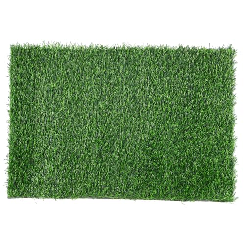WEKADRIN Künstliche Gras Fußmatte rutschfest für Außenbereich Eingang Türmatte Dekorativ Balkon Garten Teppich Flexibel Zuschneidbar Natürlicher Look WEKADRIN Künstliche Gras Fußmatte rutschfest für Außenbereich Eingang Türmatte Dekorativ Balkon Garten Teppich Flexibel Zuschneidbar Natürlicher Look von WEKADRIN