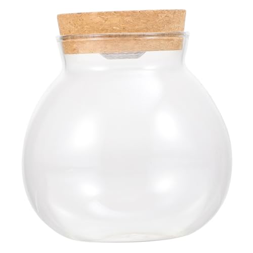 WEKADRIN LED Glasflasche für DIY Mikrolandschaft mit Langlebigem Borosilikatglas Integriertem LED Licht Holzdeckel Transparentem Design Glatter Oberfläche und Vielseitiger Indoor Outdoor von WEKADRIN