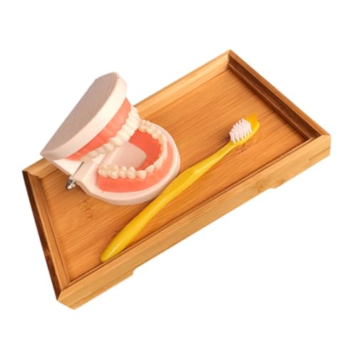 WEKADRIN Montessori Zahnpflege Lernspielzeug mit Standard Zähne Modell Bambus Tablett Pädagogisches Zahnbürsten Lernhilfe für Erlernen der Mundgesundheit und Selbstständigen Zahnreinigung von WEKADRIN