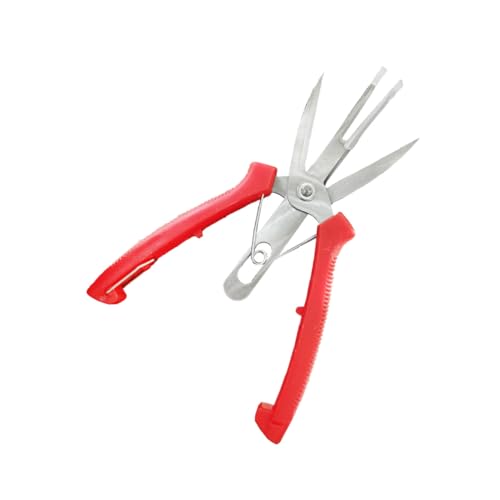 WEKADRIN Präzise Gartenschere Obst Gemüseschere Edelstahlklingen Langlebig Rutschfester Griff Ergonomisch Geeignet für Gartenarbeit und Obstbaumschnitt WEKADRIN Präzise Gartenschere Obst Gemüseschere Edelstahlklingen Langlebig Rutschfester Griff Ergonomisch Geeignet für Gartenarbeit und Obstbaumschnitt von WEKADRIN