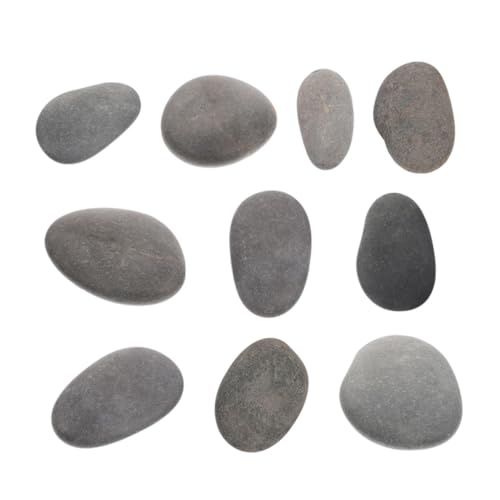 WEKAMOS 10 Stück Teiliges Natürliche Glatte Malsteine Polierte Flache Steine zum Bemalen für Erwachsene Kreative Kunsthandwerk Dekosteine für Garten Zimmerpflanzen und Aquarien von WEKAMOS