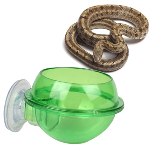 WEKAMOS 2 Stück Reptilien Wassernapf mit Saugnapf Teilig Kunststoff Trinkschale für Kleine Reptilien Wie Schildkröte Schlange Einfache Installation Leicht zu Reinigen Sicheres Trinkgefäß von WEKAMOS
