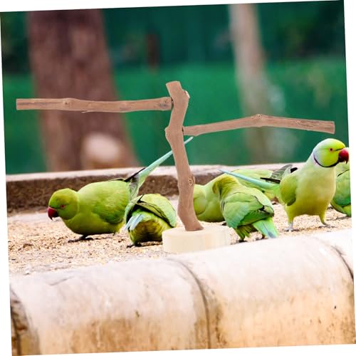 WEKAMOS Natürliche Vogel Sitzstange aus Robustem Weinrebenholz Bissfestes Papageien Kletter und Knabberspielzeug Stabile Vogelstange für Wellensittiche Nymphensittiche und Kleine WEKAMOS Natürliche Vogel Sitzstange aus Robustem Weinrebenholz Bissfestes Papageien Kletter und Knabberspielzeug Stabile Vogelstange für Wellensittiche Nymphensittiche und Kleine von WEKAMOS