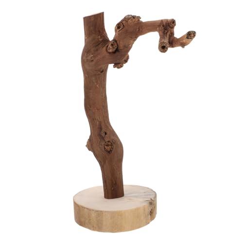 WEKAMOS Parrot Stand aus Holz mit Stabilem Sockel Natürliche Sitzstange für Wellensittiche und Papageien Dekorativer Vogelspielplatz für Käfig und Schreibtisch Langlebig und rutschfest WEKAMOS Parrot Stand aus Holz mit Stabilem Sockel Natürliche Sitzstange für Wellensittiche und Papageien Dekorativer Vogelspielplatz für Käfig und Schreibtisch Langlebig und rutschfest von WEKAMOS