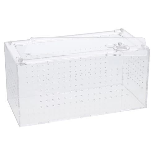 WEKAMOS Transparente Reptilienbox Multifunktionale Terrarienbox für Schlangen Spinnen Eidechsen und Frösche Leicht Tragbar für Reptilienpflege und Fütterung WEKAMOS Transparente Reptilienbox Multifunktionale Terrarienbox für Schlangen Spinnen Eidechsen und Frösche Leicht Tragbar für Reptilienpflege und Fütterung von WEKAMOS